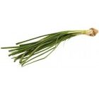 Premium Spring Onion