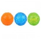 Pet Squeaky Ball