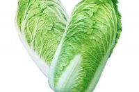 Organic Cabbage, 500g