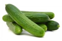 Cucumber Prime By Air - Lebanon - 500g