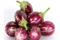 Eggplant Pink Small, Oman, 500g