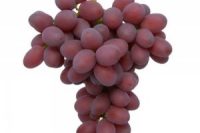Grape Red Seedless Australia 500g