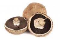 Mushroom Brown, Uae, 250Gm