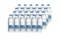 Oasis Water 24x500ml