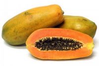 Papaya Holland Thailand 700g