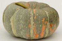 Pumpkin Red, IRAN 500g