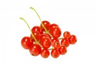 Red Currant Holland - 125gm