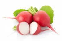 Red Redish, Holland, 1 pack