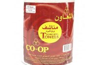 Jumbo Towel Roll 650 Sheets