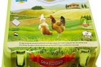 Saha Eco organic Eggs