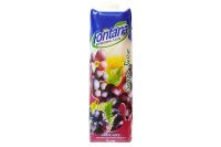 Fontana Grape Juice