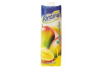 Fontana Mango Nectar