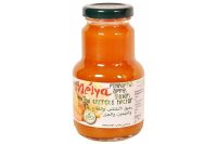 Melya Pineapple Apple Lemon Nectar