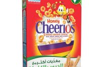 Nestle Honey Cheerios Breakfast Cereal