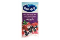 Ocean Spray Cranberry Blackcurrant