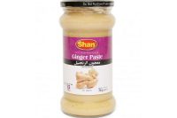 Shan Ginger Paste 700 g